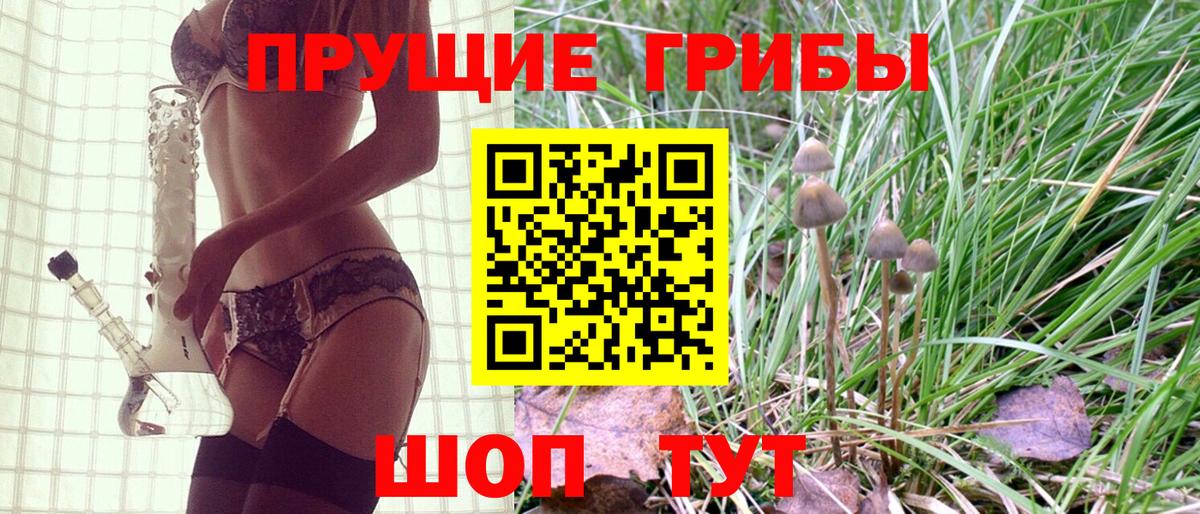 купить закладку  Вход с VPN  Клин  Галлюциногенные грибы Psilocybine cubensis 