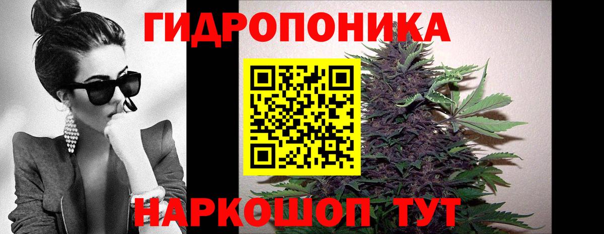 Каннабис Amnesia  Бошки Шишки план  Бошки Шишки тримм  Клин  Вход с VPN 